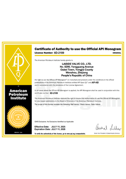 API 6D certificate